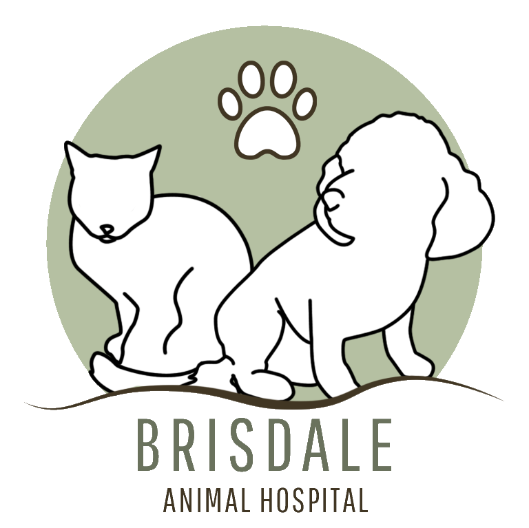 Brisdale Animal Hospital Logo