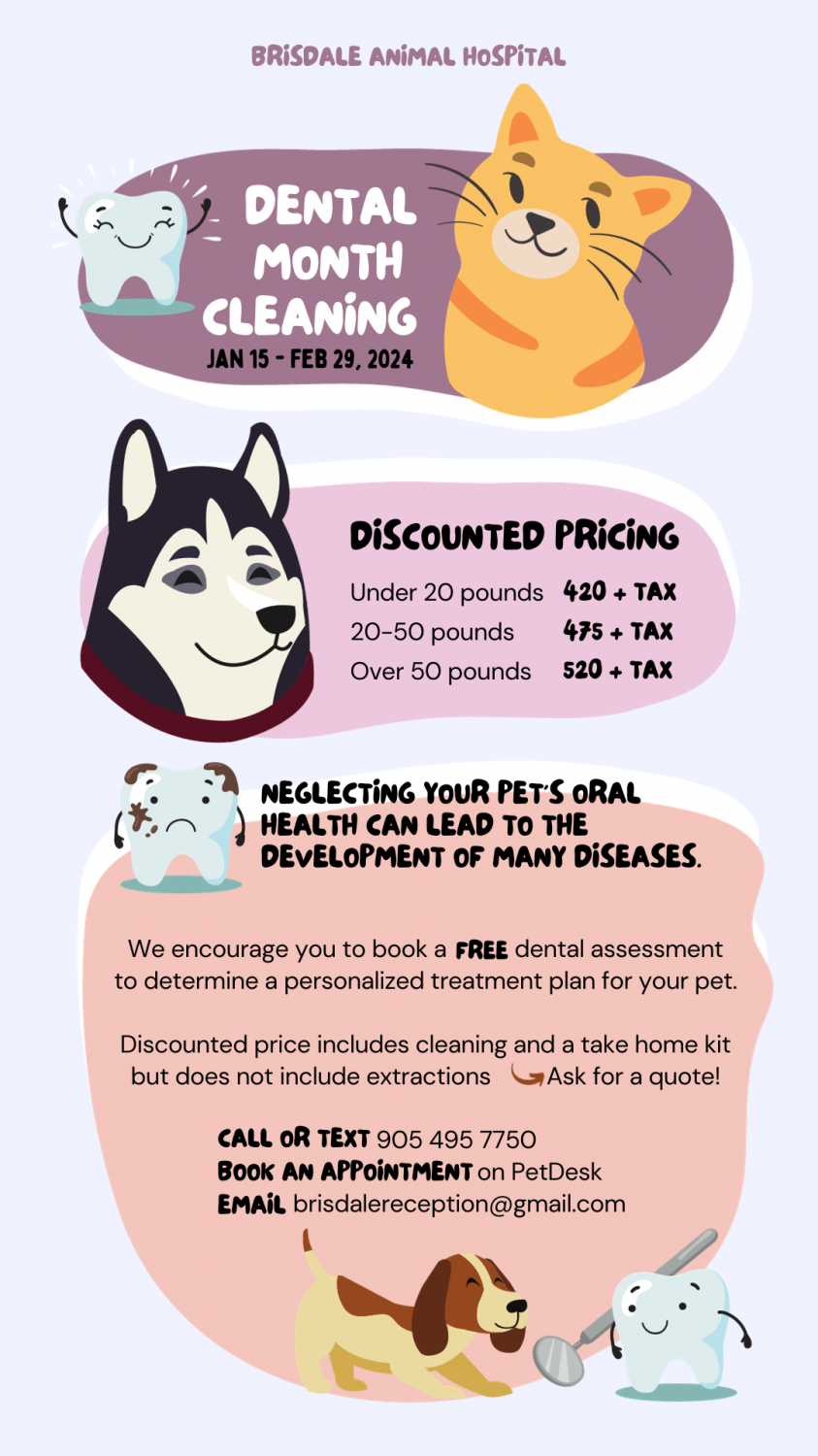 Dental Month Infographic