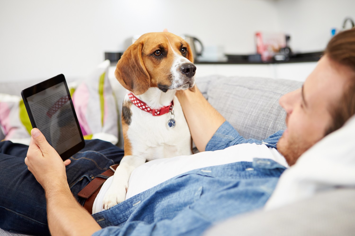Pet owner reviewing payment options on a tablet with dog sitting close by