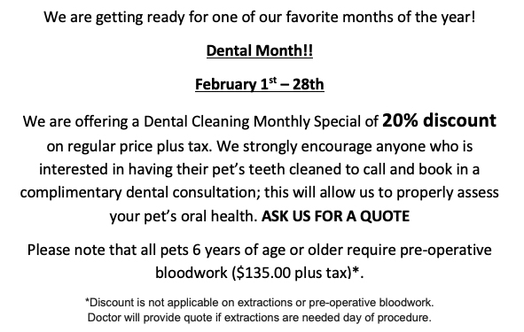 February is Dental Health Month - Promo Text